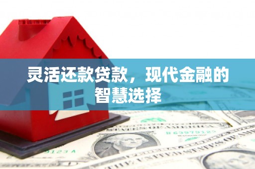 招远灵活还款贷款，现代金融的智慧选择