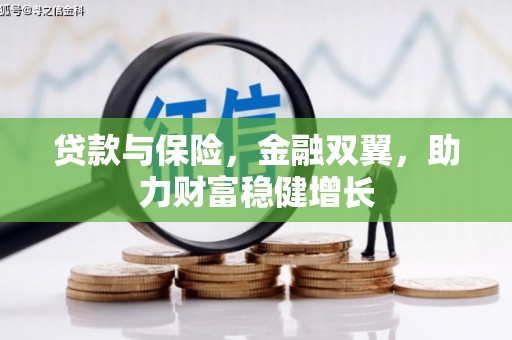 招远贷款与保险，金融双翼，助力财富稳健增长