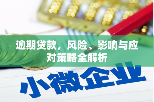 招远逾期贷款，风险、影响与应对策略全解析