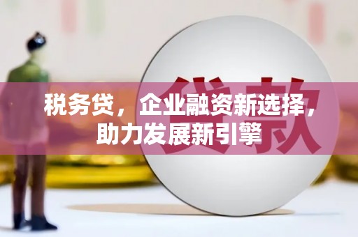 招远税务贷，企业融资新选择，助力发展新引擎