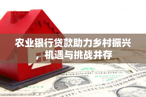 招远农业银行贷款助力乡村振兴，机遇与挑战并存