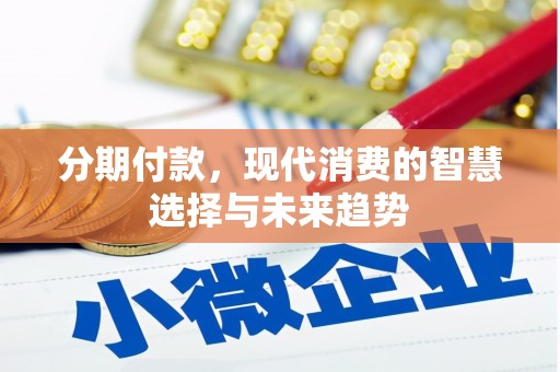 招远分期付款，现代消费的智慧选择与未来趋势