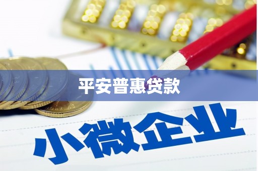 招远平安普惠贷款