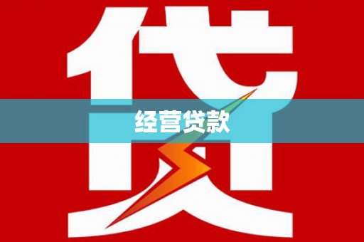 招远经营贷款