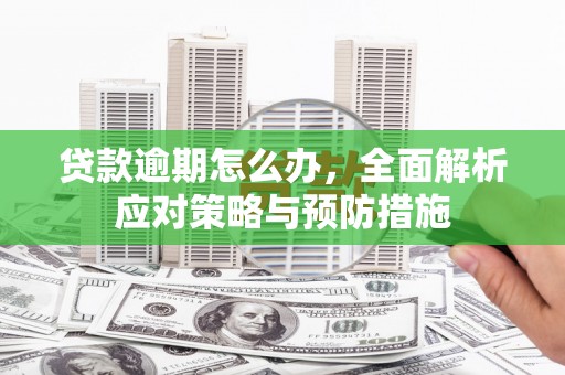 招远贷款逾期怎么办，全面解析应对策略与预防措施
