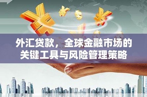 招远外汇贷款，全球金融市场的关键工具与风险管理策略