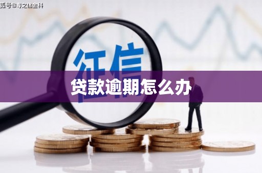 招远贷款逾期怎么办