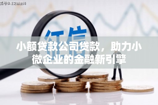 招远小额贷款公司贷款，助力小微企业的金融新引擎