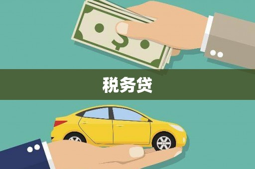 招远税务贷