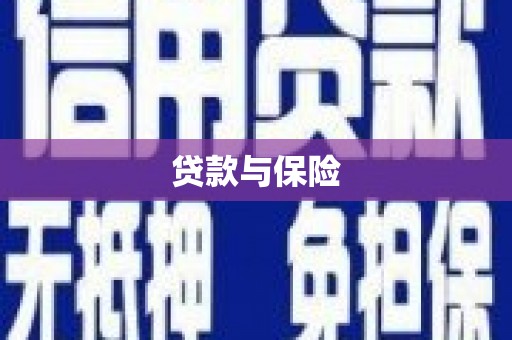 招远贷款与保险