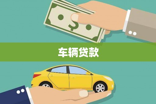 招远车辆贷款