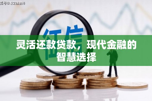 招远灵活还款贷款，现代金融的智慧选择