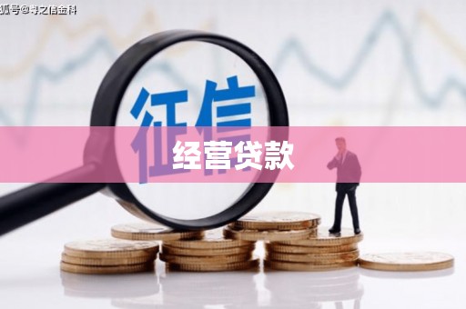 招远经营贷款
