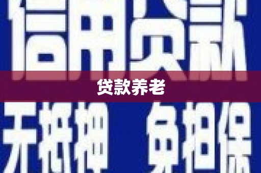 招远贷款养老