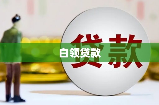 招远白领贷款