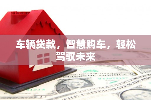 招远车辆贷款，智慧购车，轻松驾驭未来