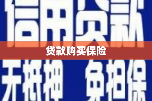 招远贷款购买保险