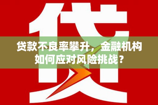 招远贷款不良率攀升，金融机构如何应对风险挑战？