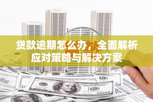 招远贷款逾期怎么办，全面解析应对策略与解决方案