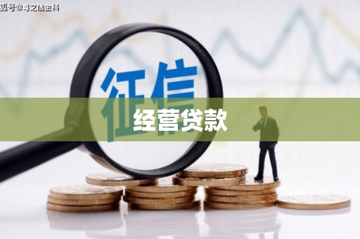 招远经营贷款